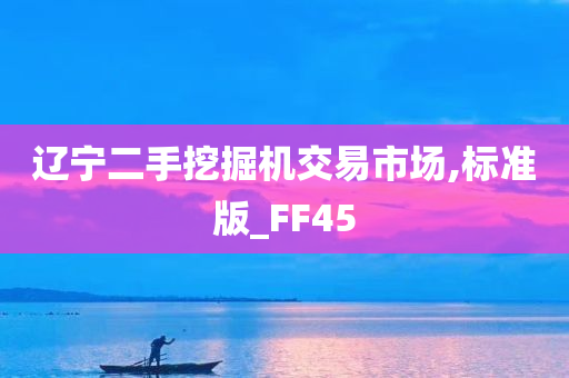 辽宁二手挖掘机交易市场,标准版_FF45