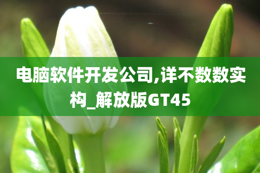 电脑软件开发公司,详不数数实构_解放版GT45