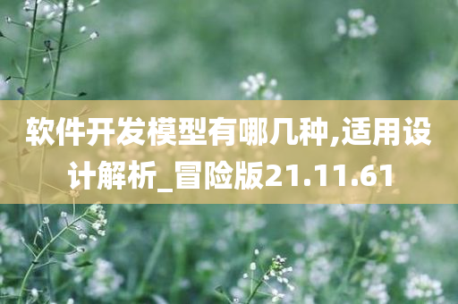 软件开发模型有哪几种,适用设计解析_冒险版21.11.61