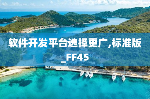 软件开发平台选择更广,标准版_FF45