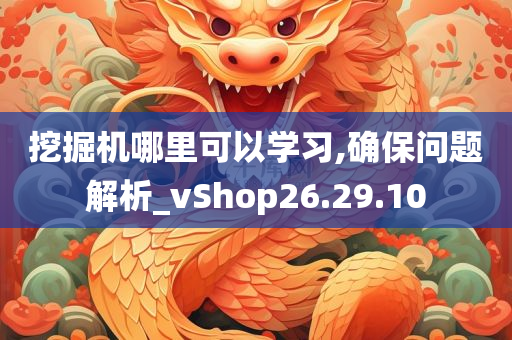 挖掘机哪里可以学习,确保问题解析_vShop26.29.10