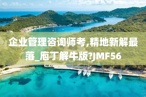 企业管理咨询师考,精地新解最落_庖丁解牛版?JMF56