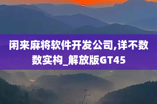 闲来麻将软件开发公司,详不数数实构_解放版GT45