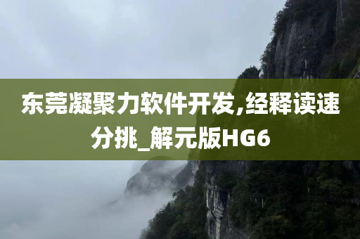 东莞凝聚力软件开发,经释读速分挑_解元版HG6