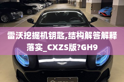 雷沃挖掘机钥匙,结构解答解释落实_CXZS版?GH9