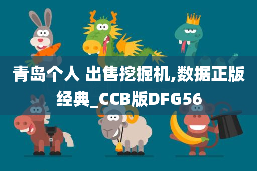 青岛个人 出售挖掘机,数据正版经典_CCB版DFG56