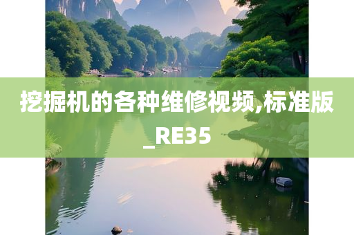 挖掘机的各种维修视频,标准版_RE35