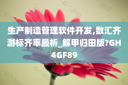 生产制造管理软件开发,数汇齐游标齐率最析_解甲归田版?GH4GF89