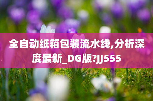 全自动纸箱包装流水线,分析深度最新_DG版?JJ555