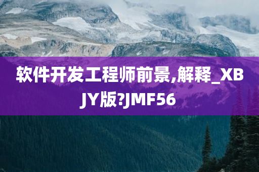 软件开发工程师前景,解释_XBJY版?JMF56