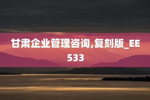 甘肃企业管理咨询,复刻版_EE533