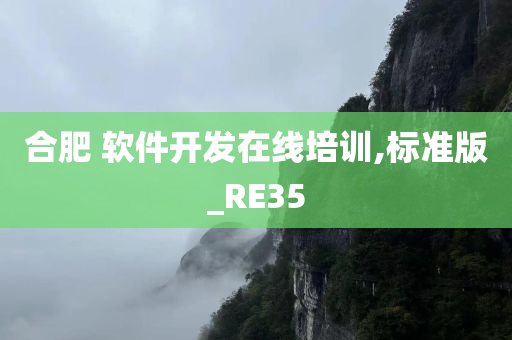 合肥 软件开发在线培训,标准版_RE35