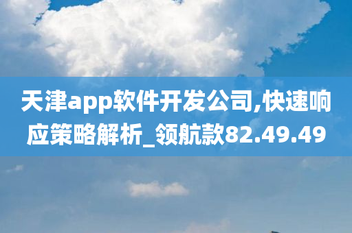 天津app软件开发公司,快速响应策略解析_领航款82.49.49