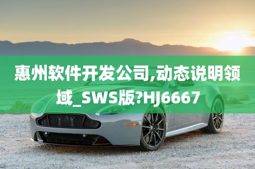 惠州软件开发公司,动态说明领域_SWS版?HJ6667