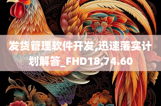 发货管理软件开发,迅速落实计划解答_FHD18.74.60