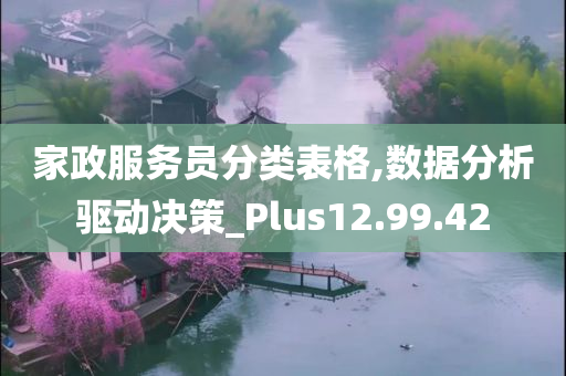 家政服务员分类表格,数据分析驱动决策_Plus12.99.42