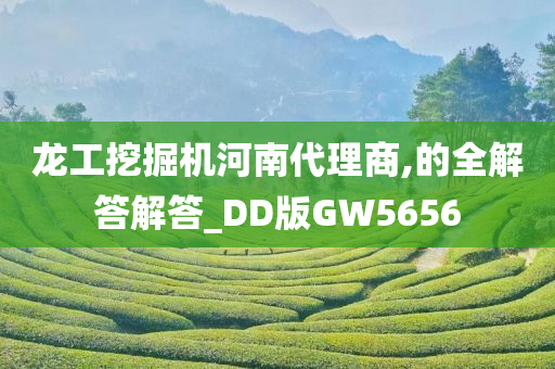 龙工挖掘机河南代理商,的全解答解答_DD版GW5656