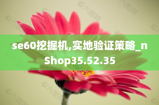 se60挖掘机,实地验证策略_nShop35.52.35