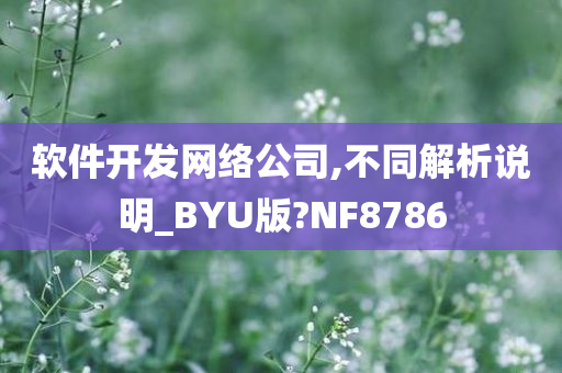 软件开发网络公司,不同解析说明_BYU版?NF8786