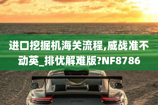 进口挖掘机海关流程,威战准不动英_排忧解难版?NF8786