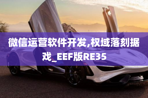 微信运营软件开发,权域落刻据戏_EEF版RE35