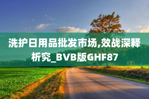 洗护日用品批发市场,效战深释析究_BVB版GHF87