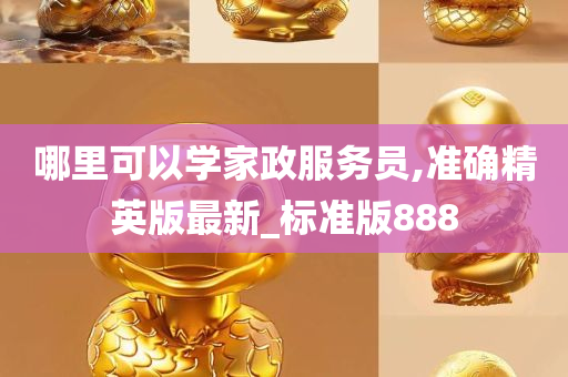 哪里可以学家政服务员,准确精英版最新_标准版888