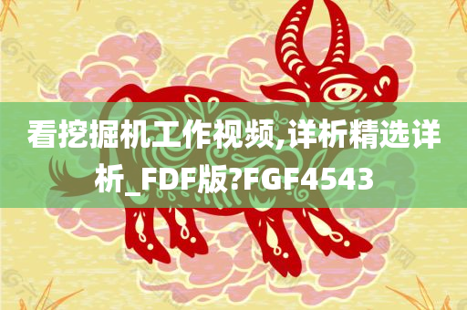 看挖掘机工作视频,详析精选详析_FDF版?FGF4543