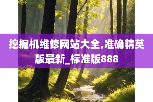 挖掘机维修网站大全,准确精英版最新_标准版888