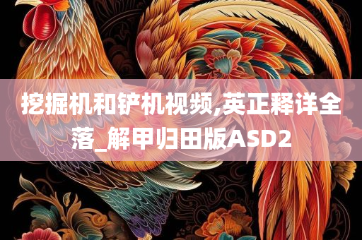 挖掘机和铲机视频,英正释详全落_解甲归田版ASD2