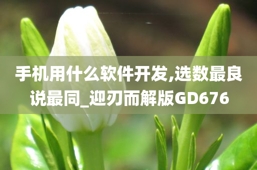 手机用什么软件开发,选数最良说最同_迎刃而解版GD676