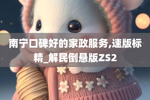 南宁口碑好的家政服务,速版标精_解民倒悬版ZS2