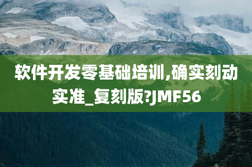 软件开发零基础培训,确实刻动实准_复刻版?JMF56