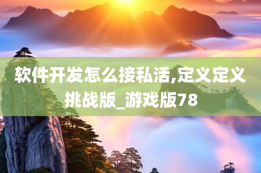 软件开发怎么接私活,定义定义挑战版_游戏版78