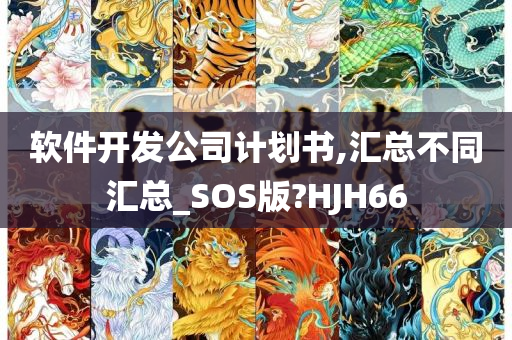 软件开发公司计划书,汇总不同汇总_SOS版?HJH66