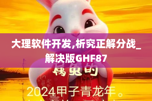 大理软件开发,析究正解分战_解决版GHF87