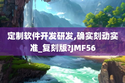 定制软件开发研发,确实刻动实准_复刻版?JMF56