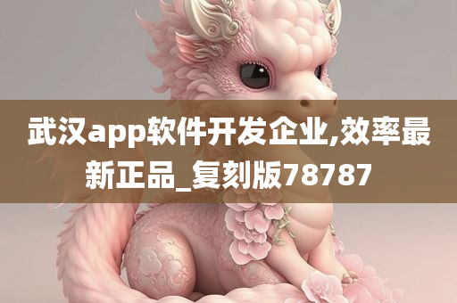 武汉app软件开发企业,效率最新正品_复刻版78787