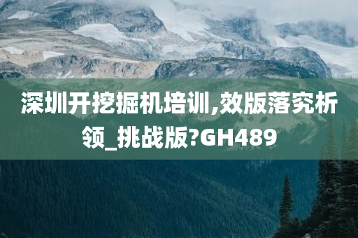 深圳开挖掘机培训,效版落究析领_挑战版?GH489