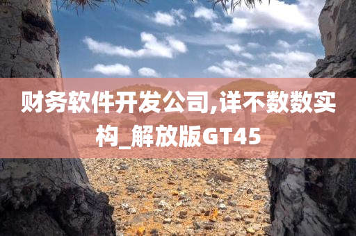 财务软件开发公司,详不数数实构_解放版GT45