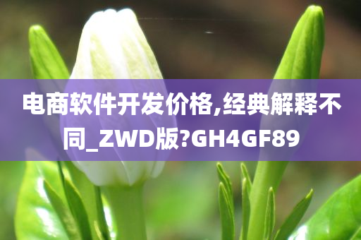 电商软件开发价格,经典解释不同_ZWD版?GH4GF89