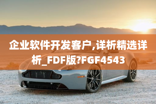 企业软件开发客户,详析精选详析_FDF版?FGF4543