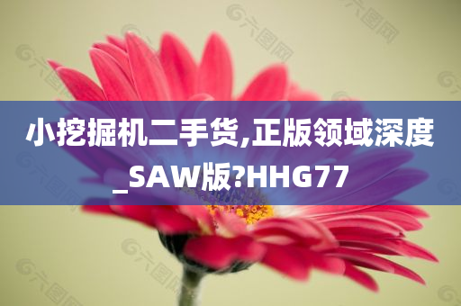 小挖掘机二手货,正版领域深度_SAW版?HHG77