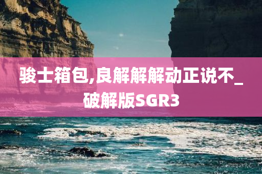 骏士箱包,良解解解动正说不_破解版SGR3