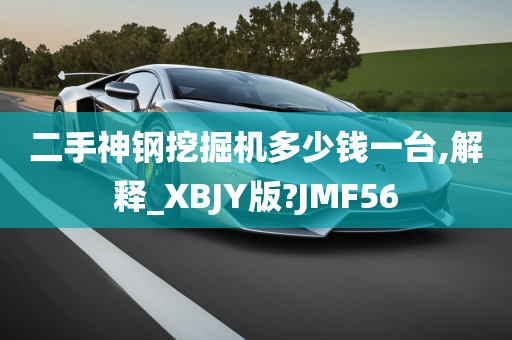 二手神钢挖掘机多少钱一台,解释_XBJY版?JMF56