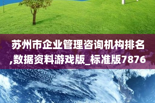 苏州市企业管理咨询机构排名,数据资料游戏版_标准版7876