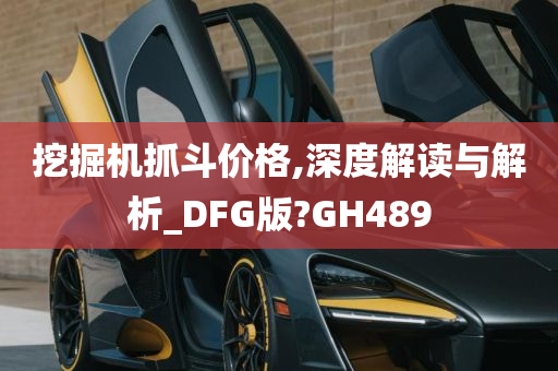 挖掘机抓斗价格,深度解读与解析_DFG版?GH489