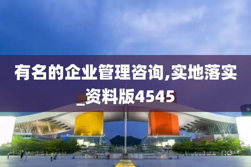 有名的企业管理咨询,实地落实_资料版4545