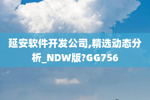 延安软件开发公司,精选动态分析_NDW版?GG756