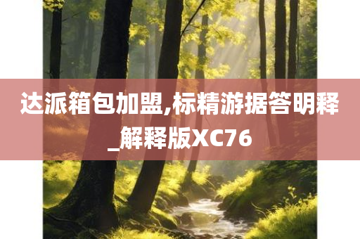 达派箱包加盟,标精游据答明释_解释版XC76